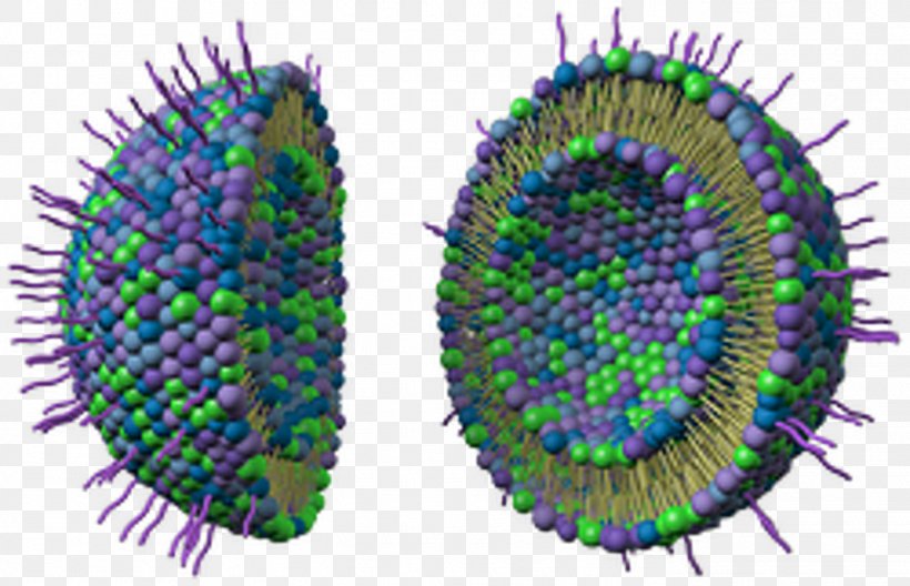 Nutrient Liposome Nanotechnology Keystone Nano Research, PNG, 1397x900px, Nutrient, Cancer, Cell, Ceramide, Feather Download Free