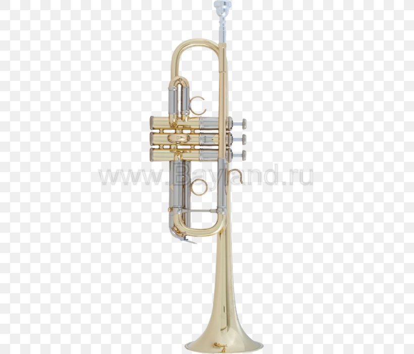 Trumpet Flugelhorn Vincent Bach Corporation C.G. Conn Cornet, PNG, 588x700px, Watercolor, Cartoon, Flower, Frame, Heart Download Free