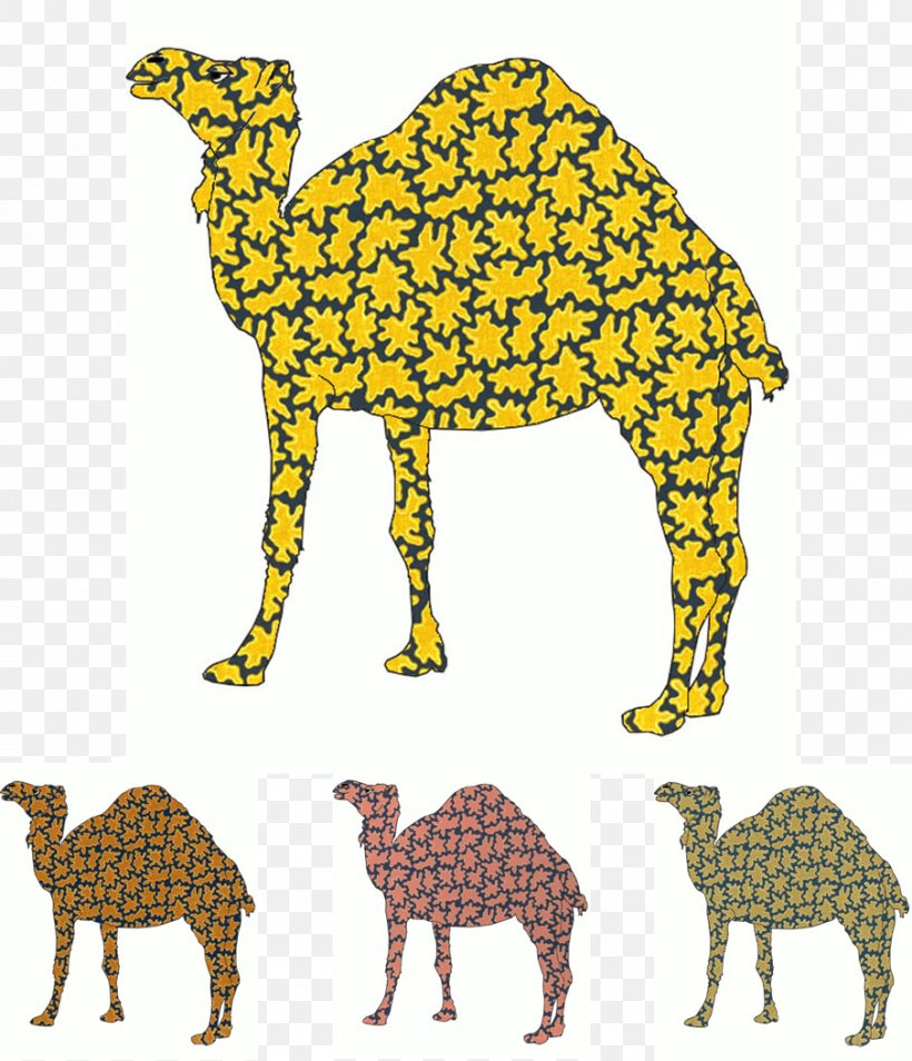 Dromedary Cat Giraffe Terrestrial Animal Wildlife, PNG, 905x1053px, Dromedary, Animal, Animal Figure, Arabian Camel, Area Download Free