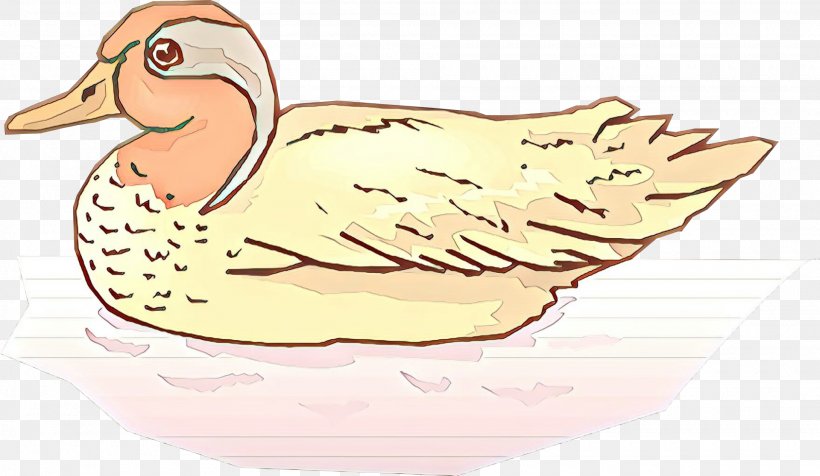 Duck Clip Art Illustration Food Beak, PNG, 1920x1116px, Duck, Beak, Bird, Chicken As Food, Ducks Geese And Swans Download Free