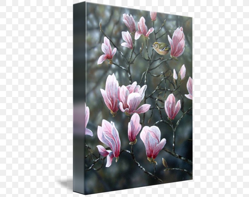 Magnolia Imagekind Painting Art Canvas, PNG, 460x650px, Magnolia, Art, Blossom, Cafepress, Canvas Download Free