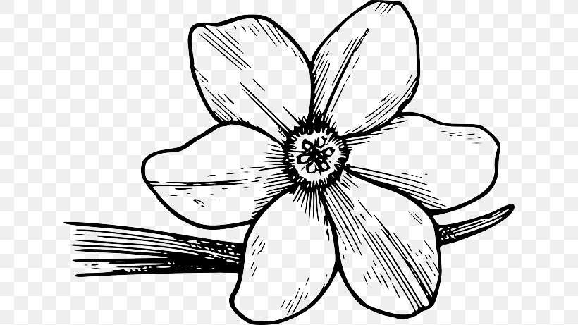 Clip Art Coloring Book Flower Colouring Pages Drawing, PNG, 640x461px, Coloring Book, Artwork, Black And White, Child, Color Download Free