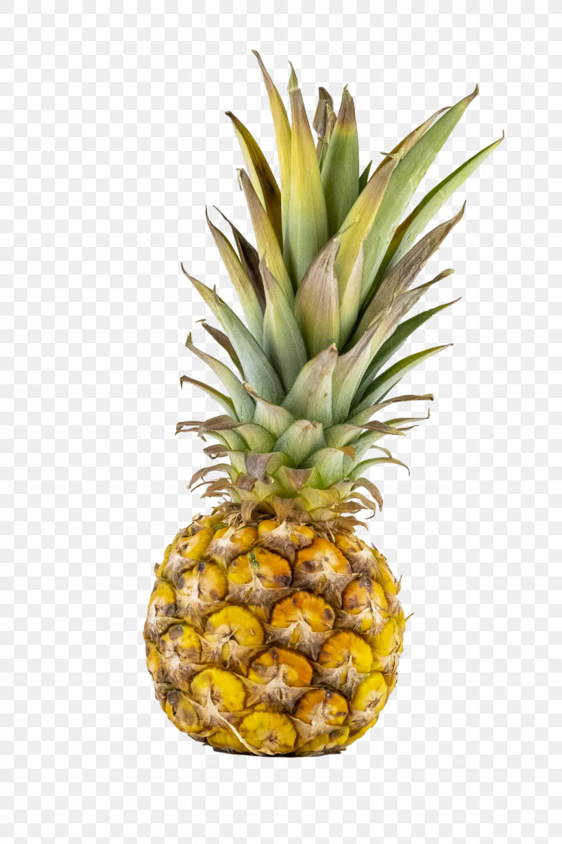Pineapple, PNG, 1200x1800px, Pineapple, Apricot, Family, Fruit, Peach Download Free