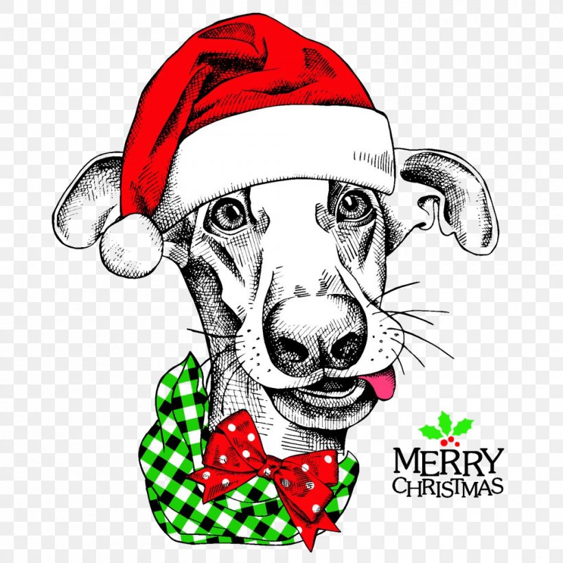 Dog Whippet Nose Snout Italian Greyhound, PNG, 1000x1000px, Dog, Christmas, Italian Greyhound, Nose, Snout Download Free
