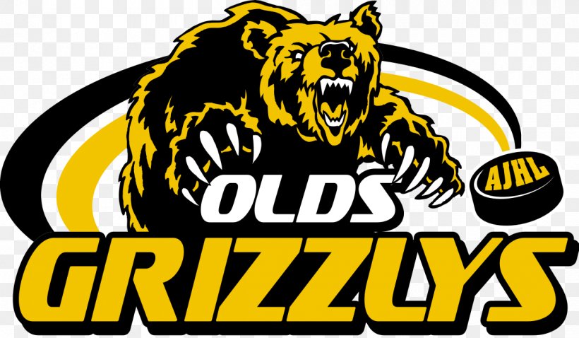 Olds Grizzlys Drayton Valley Thunder Sherwood Park Crusaders Whitecourt Wolverines, PNG, 1200x700px, Olds Grizzlys, Alberta, Alberta Junior Hockey League, Brand, Canadian Junior Hockey League Download Free