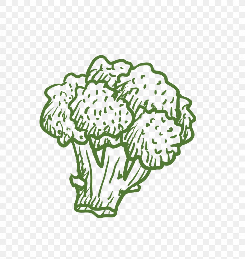 Broccoli Cauliflower Vegetable Computer File, PNG, 1176x1242px, Watercolor, Cartoon, Flower, Frame, Heart Download Free