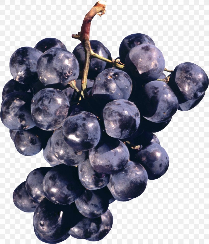 Concord Grape, PNG, 2800x3275px, Concord Grape, Bilberry, Blueberry, Clipping Path, Flowering Plant Download Free