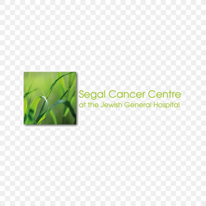Jewish General Hospital Cancer Prevention Oncology, PNG, 1000x1000px, Cancer, Breast Cancer, Cancer Prevention, Clinic, Grass Download Free