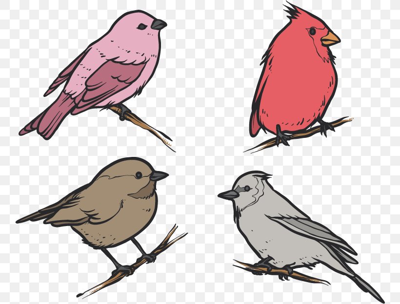 Bird House Sparrow Drawing Clip Art, PNG, 758x624px, Bird, American Sparrows, Artwork, Beak, Branch Download Free