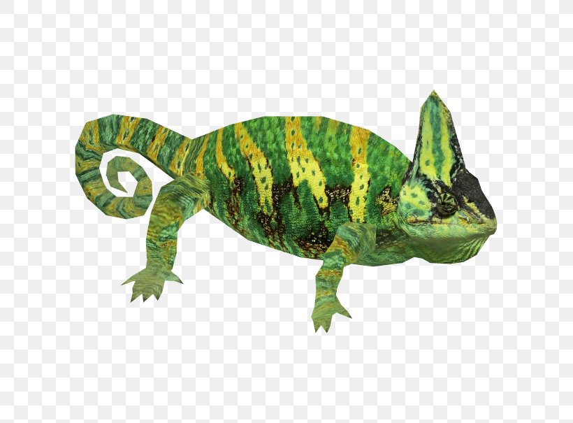 Chameleons Lizard Reptile Iguanomorpha Veiled Chameleon, PNG, 605x605px, Chameleons, Amphibian, Animal, Animal Figure, Chameleon Download Free
