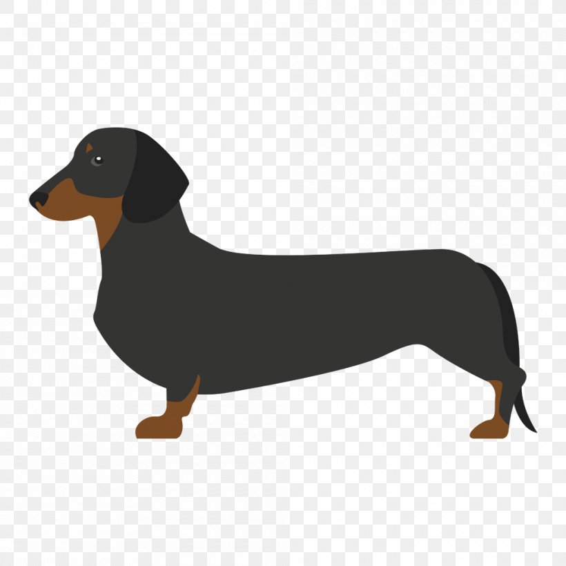 Dachshund Drever Puppy Dog Breed German Spaniel, PNG, 1000x1000px, Dachshund, Beak, Breed, Carnivoran, Chihuahua Download Free