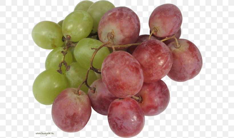 Grape Food Seedless Fruit Wine, PNG, 600x484px, Grape, Amazon Grape, Berry, Food, Fruit Download Free