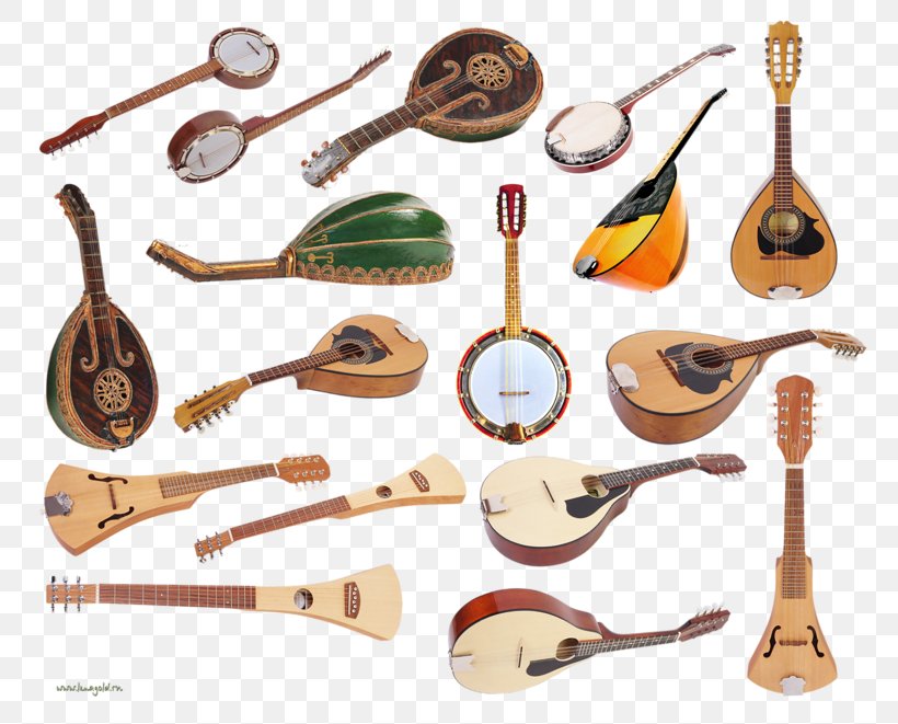 String Instruments Musical Instruments Huqin Wind Instrument, PNG, 800x661px, Watercolor, Cartoon, Flower, Frame, Heart Download Free