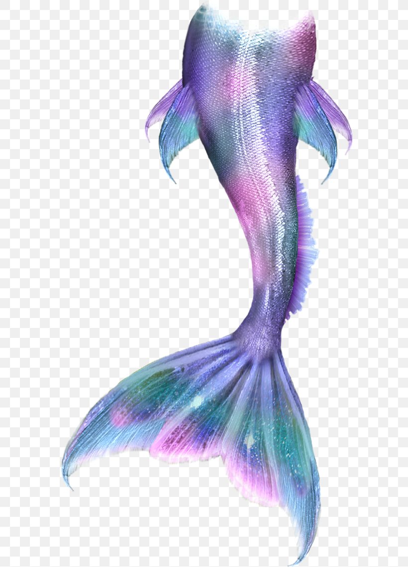 Ariel Merliah Summers Mermaid Merman, PNG, 600x1141px, Ariel, Drawing, Fictional Character, Fish, Marine Mammal Download Free