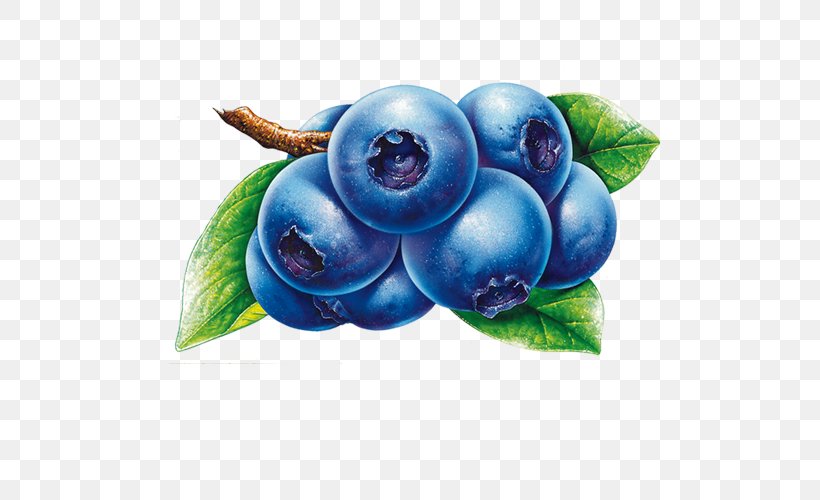 Frutti Di Bosco Blueberry Fruit Clip Art, PNG, 500x500px, Juice, Berry, Bilberry, Blueberry, Blueberry Tea Download Free