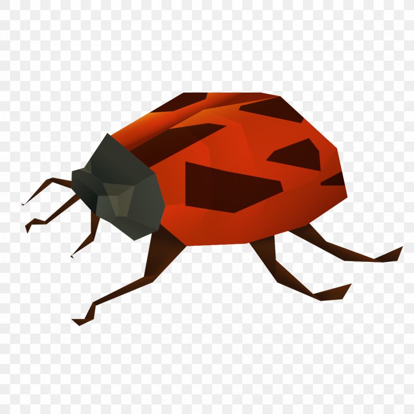 Insect Ladybird Euclidean Vector, PNG, 1181x1181px, Insect, Beetle, Invertebrate, Ladybird, Membrane Winged Insect Download Free