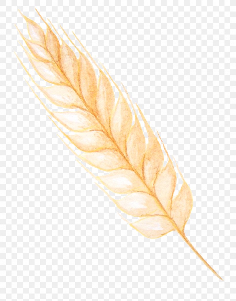 Leaf Quill, PNG, 1024x1307px, Leaf, Feather, Pen, Plant, Quill Download Free