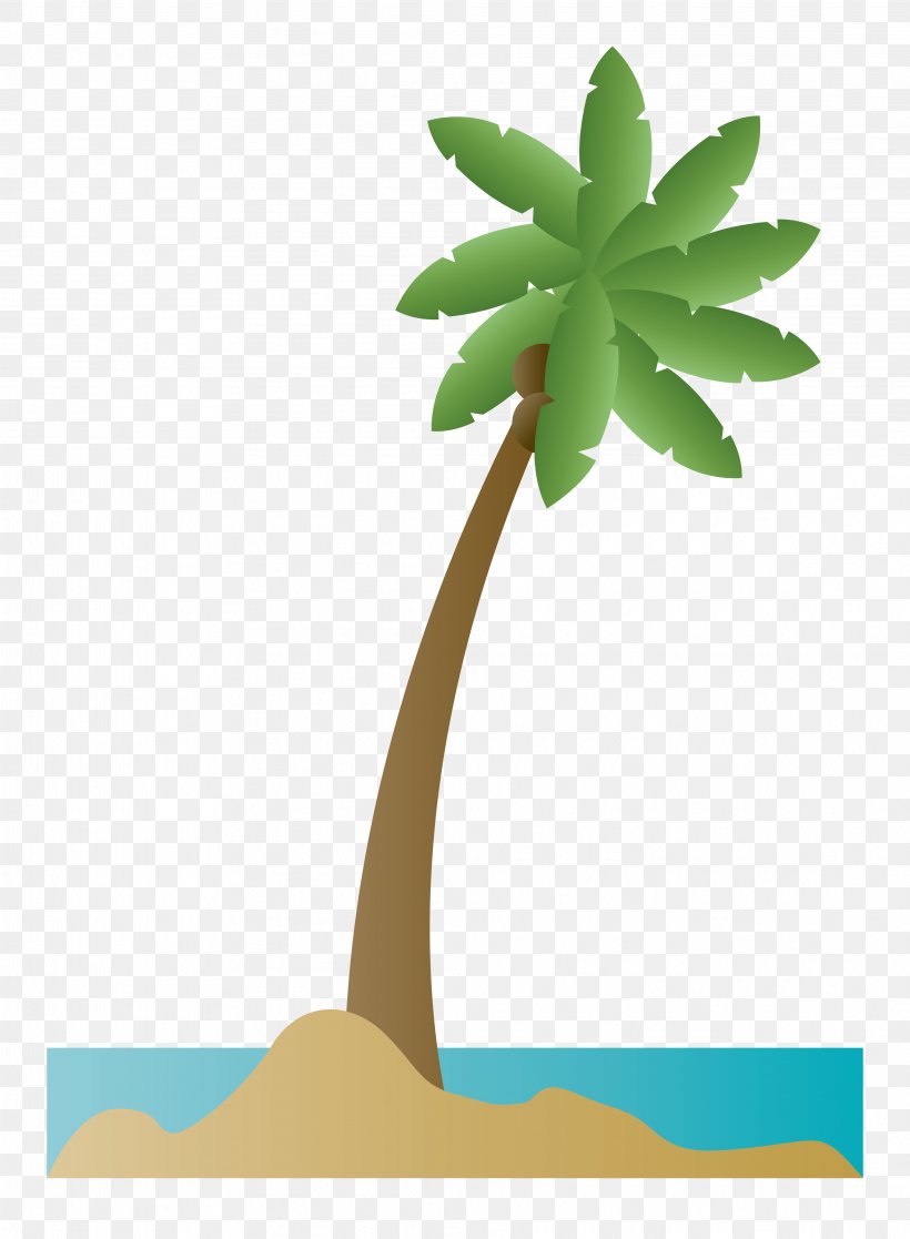 Arecaceae Tree Coconut, PNG, 4042x5508px, Arecaceae, Arecales, Coco, Coconut, Flowerpot Download Free