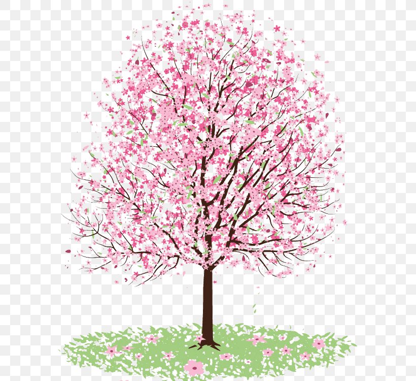 Cherry Blossom Drawing Tree Painting, PNG, 600x750px, Blossom, Art, Branch, Cherry Blossom, Drawing Download Free