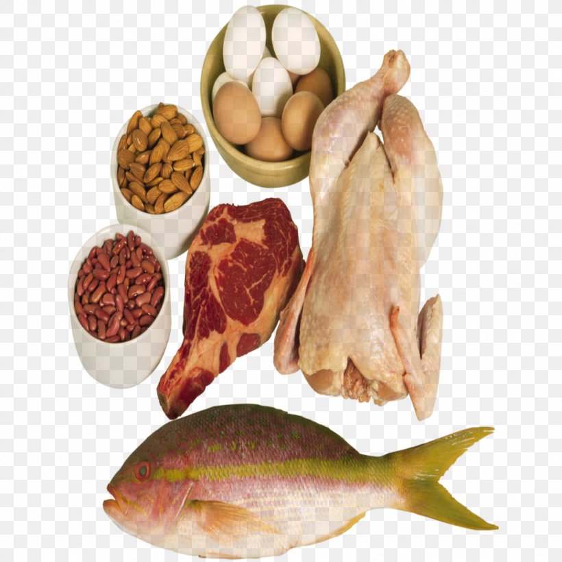 Fatty Liver Eating Food Protein, PNG, 1024x1024px, Liver, Abdominal Obesity, Adipose Tissue, Animal Source Foods, Diet Download Free