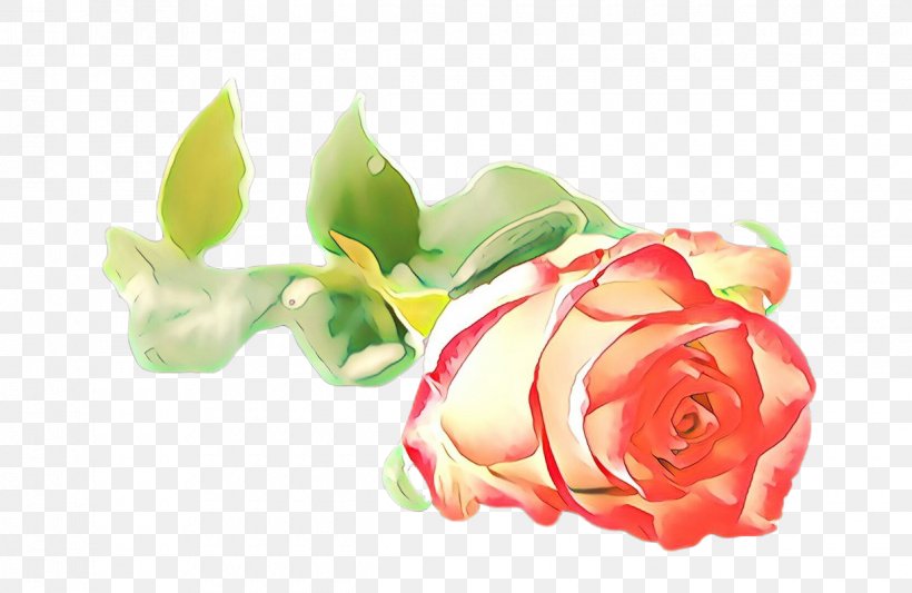 Floral Flower Background, PNG, 1240x806px, Cartoon, Artificial Flower, Bud, Cabbage Rose, Cut Flowers Download Free