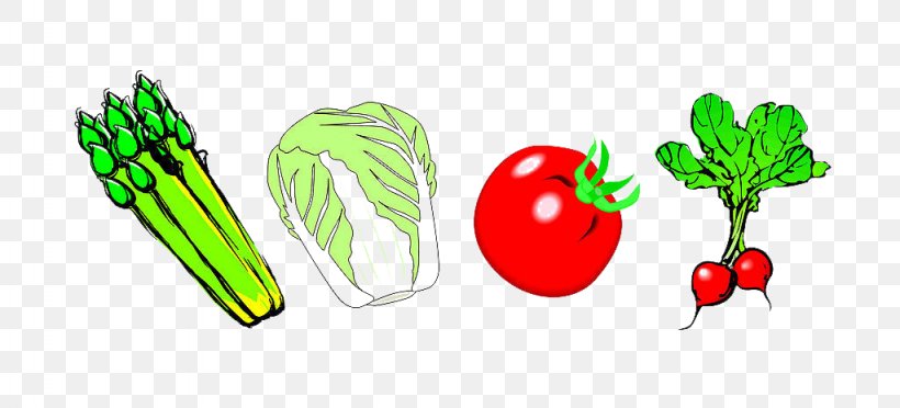 Fruit Vegetable, PNG, 1024x465px, Fruit, Auglis, Brand, Cartoon, Designer Download Free