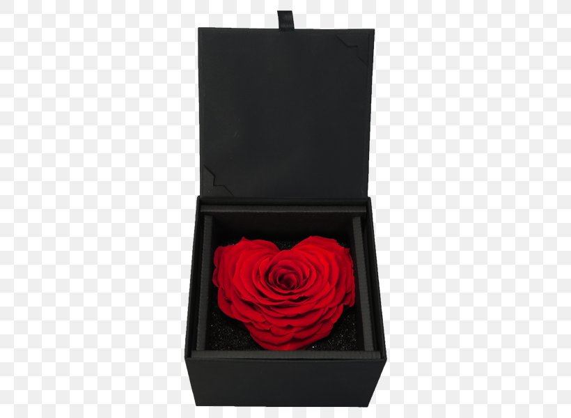Garden Roses, PNG, 600x600px, Garden Roses, Box, Garden, Red, Rose Download Free