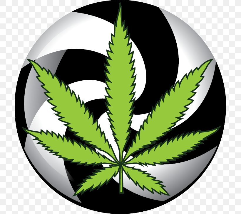 Medical Cannabis Kush Logo Cannabis Shop, PNG, 719x730px, Cannabis, Cannabis Shop, Dispensary, Hemp, Hemp Family Download Free