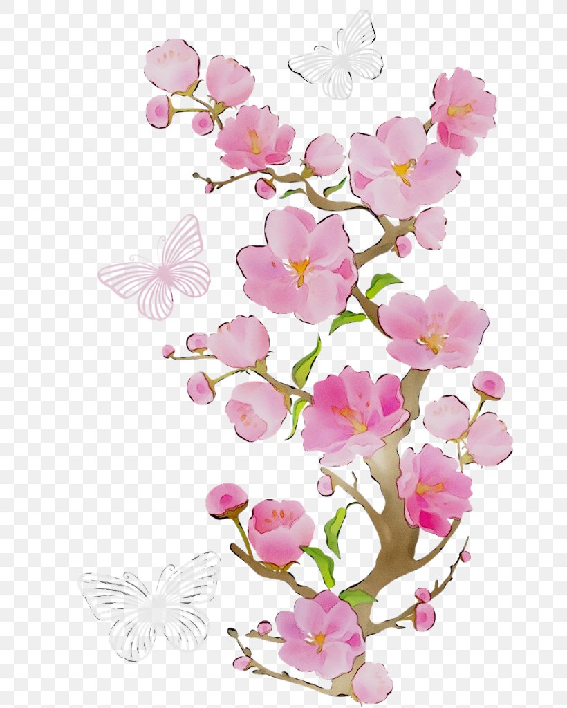 Clip Art Cherry Blossom Transparency Image, PNG, 726x1024px, Cherry Blossom, Blossom, Botany, Branch, Butterfly Download Free