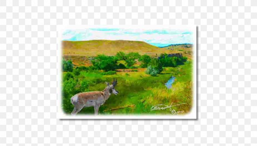 Deer Fauna Ecosystem Flora Ecoregion, PNG, 929x531px, Deer, Animal, Ecoregion, Ecosystem, Fauna Download Free