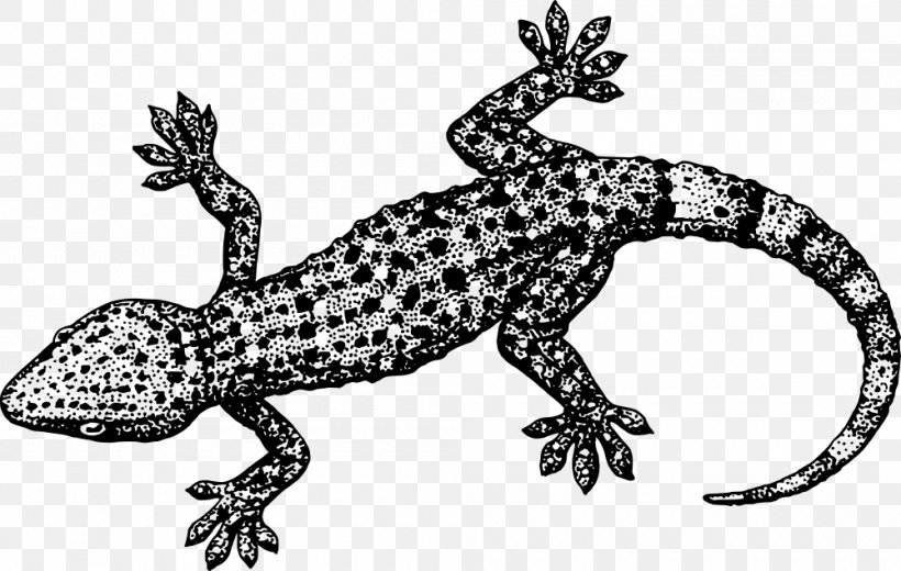 Lizard Crested Gecko Clip Art, PNG, 1000x635px, Lizard, Amphibian, Animal Figure, Black And White, Common Leopard Gecko Download Free