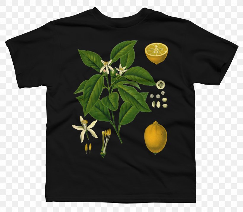 Long-sleeved T-shirt Hoodie Top, PNG, 1800x1575px, Tshirt, Botanical Illustration, Botany, Brand, Clothing Download Free