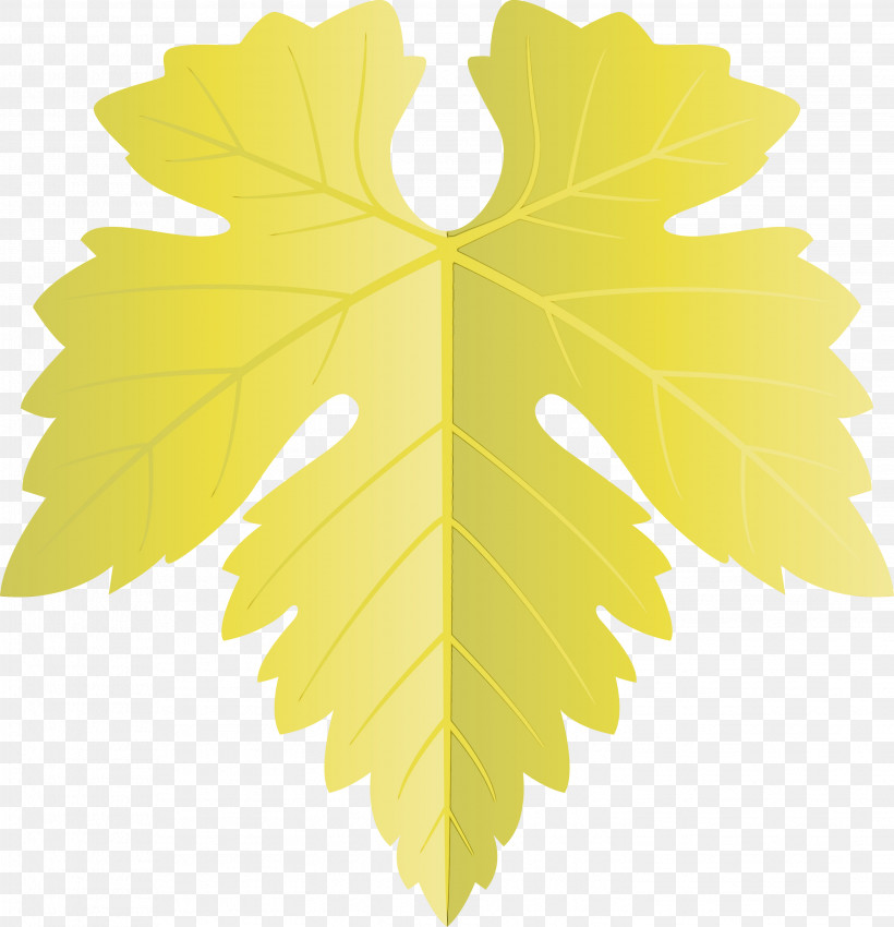 Maple Leaf, PNG, 2893x3000px, Grapes Leaf, Black Maple, Flower, Grape Leaves, Leaf Download Free