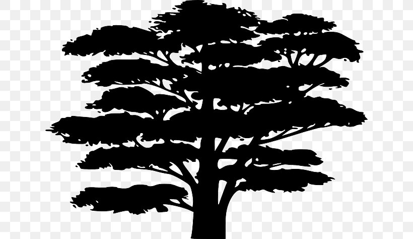 Silhouette Tree This I Call To Mind, PNG, 640x474px, Silhouette, Black And White, Branch, Conifer, Drawing Download Free