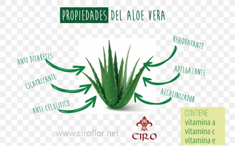 Aloe Vera Periorbital Puffiness Skin Aloes Periorbital Dark Circles, PNG, 1080x675px, Aloe Vera, Allergy, Aloe, Aloes, Brand Download Free