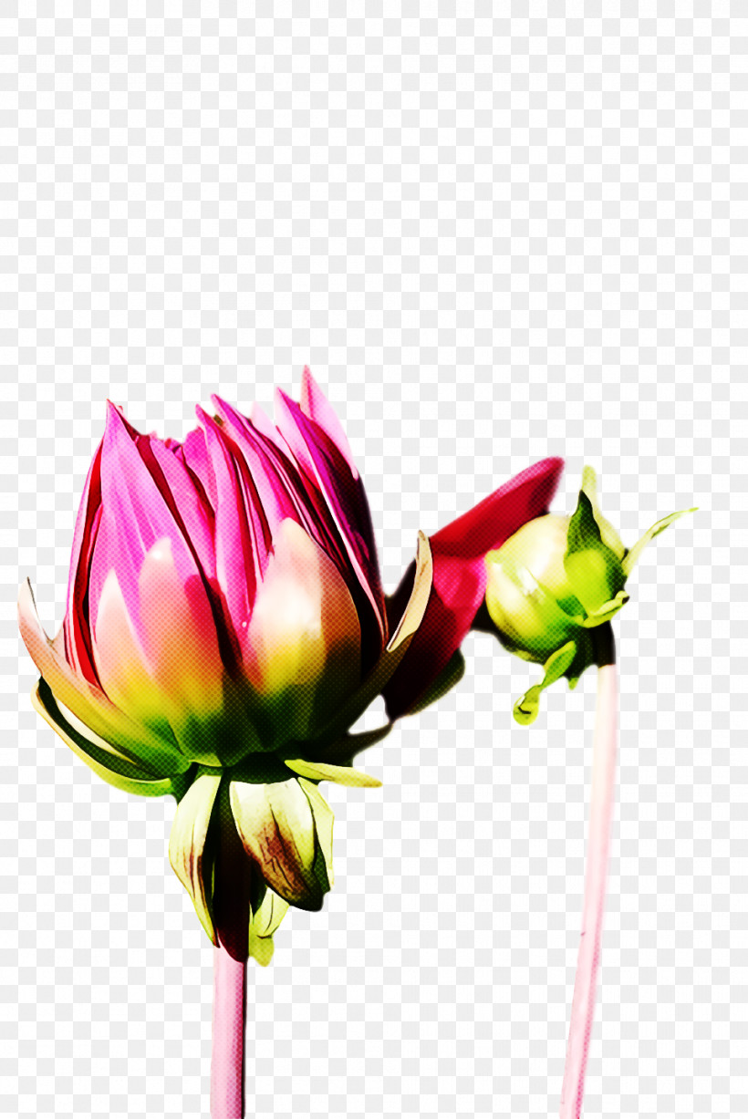 Floral Design, PNG, 962x1440px, Floral Design, Bud, Cut Flowers, Flower, Flower Bouquet Download Free