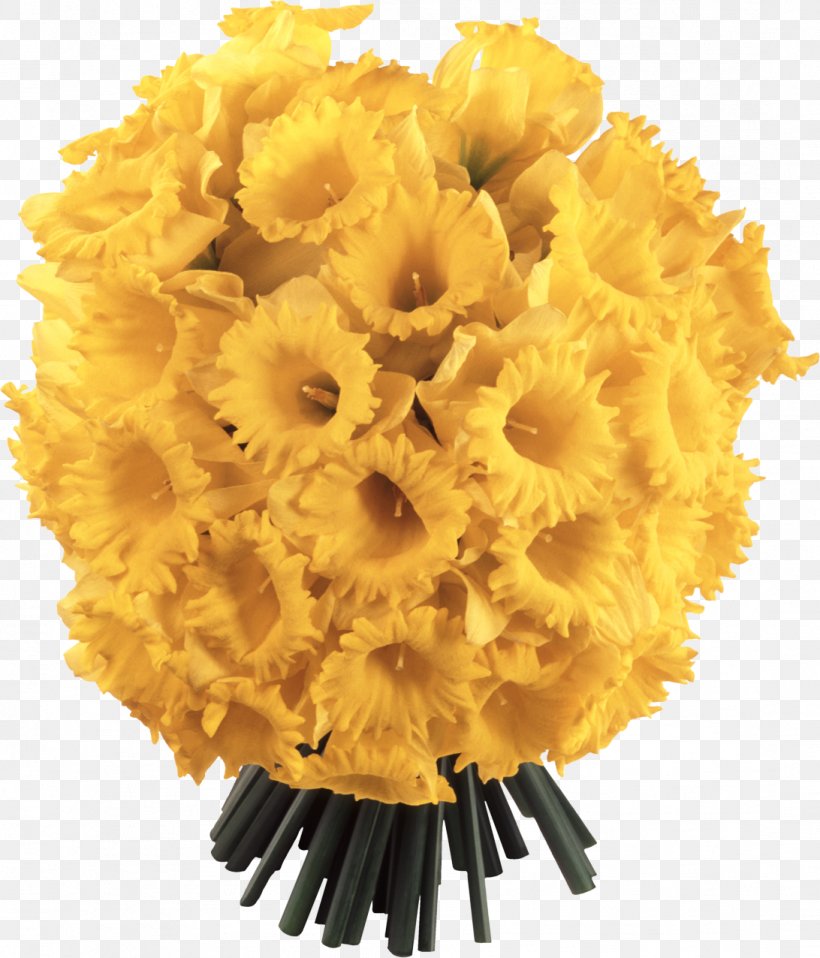 Flower Daffodil Desktop Wallpaper, PNG, 1092x1276px, Flower, Common Sunflower, Cut Flowers, Daffodil, Dandelion Download Free