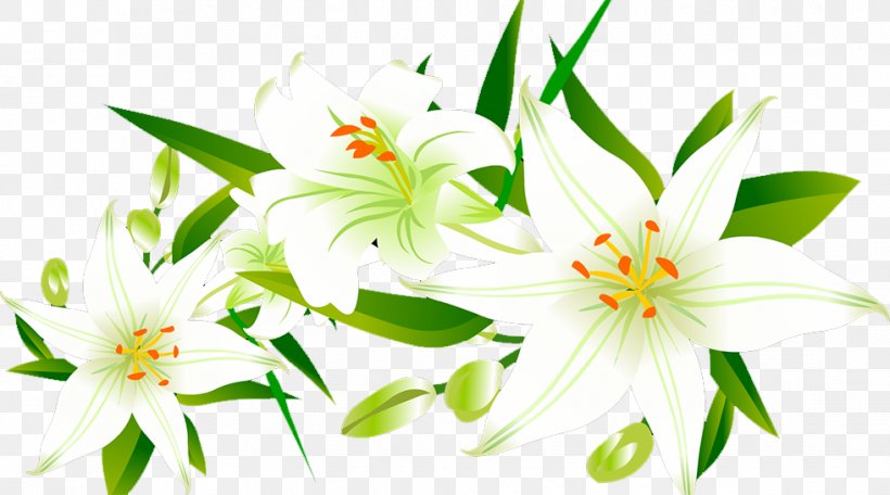 Lilium Floral Design Icon, PNG, 981x546px, Watercolor, Cartoon, Flower, Frame, Heart Download Free