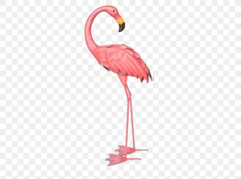 Flamingos Bird Illustration, PNG, 541x609px, Flamingos, Beak, Bird, Color, Drawing Download Free