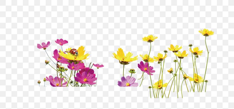 Floral Design Yellow Flower, PNG, 784x383px, Floral Design, Chart, Chrysanths, Cut Flowers, Flora Download Free