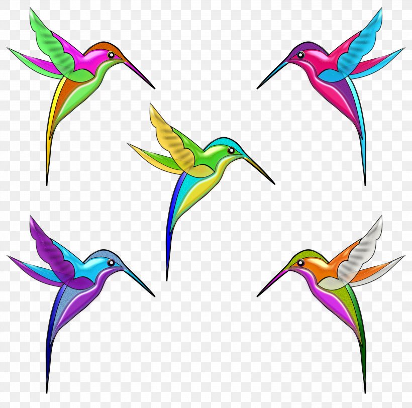 Hummingbird Violetear Clip Art, PNG, 3000x2973px, Hummingbird, Beak, Bird, Drawing, Feather Download Free
