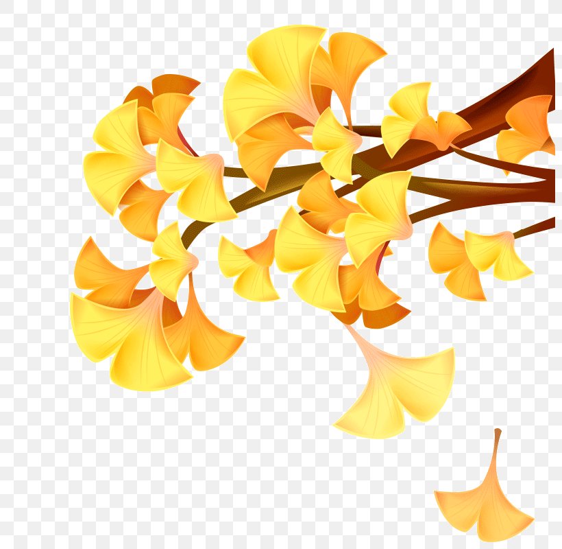 Image Illustration Design Vector Graphics, PNG, 800x800px, Maidenhair Tree, Autumn, Cartoon, Cut Flowers, Designer Download Free