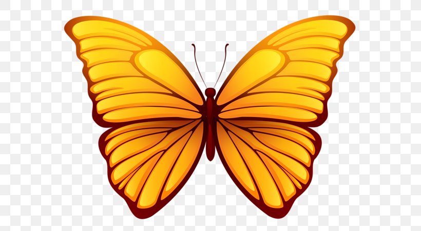 Butterfly Color Clip Art, PNG, 600x450px, Butterfly, Arthropod, Brush Footed Butterfly, Butterflies And Moths, Color Download Free