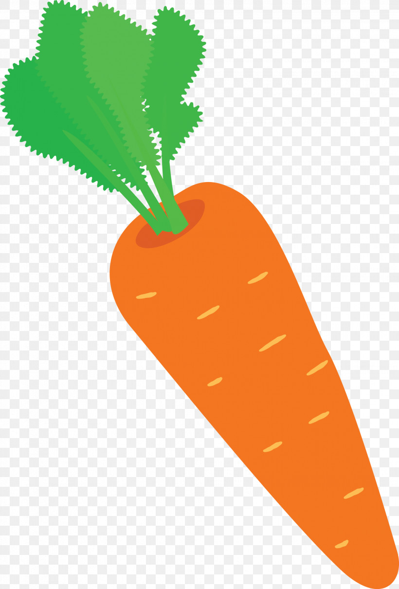 Carrot, PNG, 2032x2999px, Carrot, Fruit, Geometry, Line, Mathematics Download Free