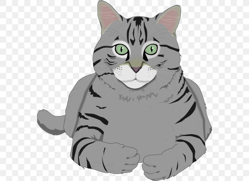 Cat Kitten Tiger Clip Art, PNG, 576x596px, Exotic Shorthair, American Shorthair, American Wirehair, Black Cat, California Spangled Download Free