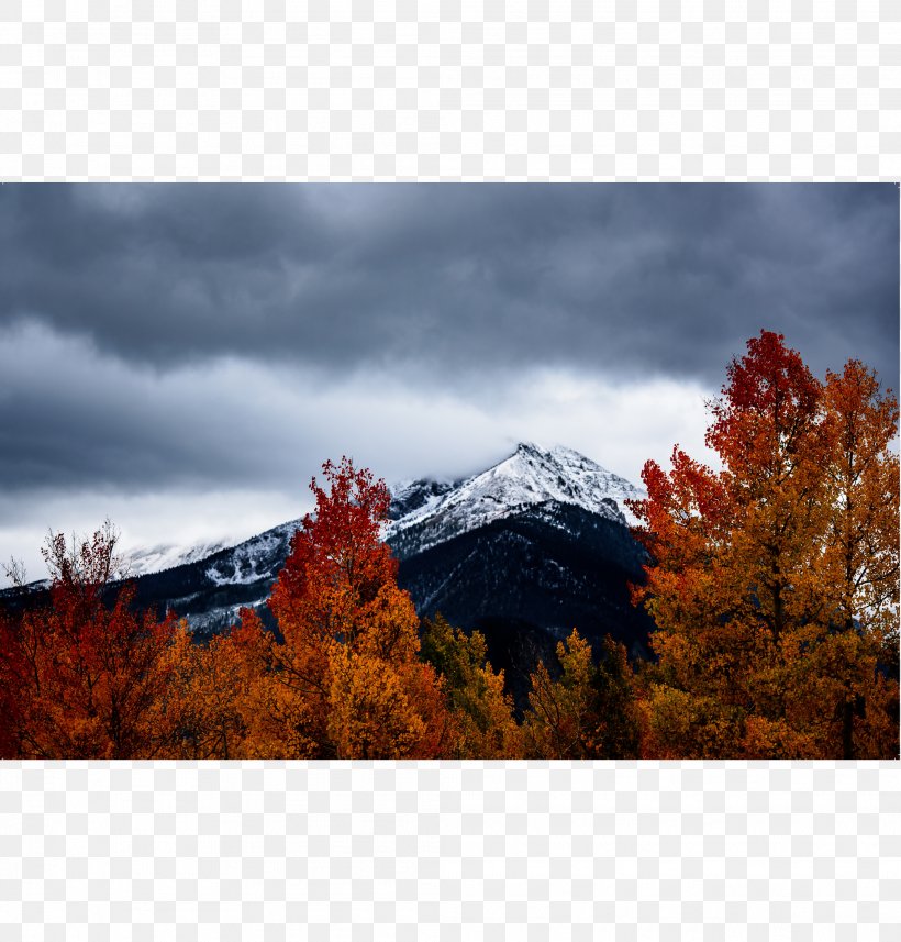 Autumn Leaf Color Landscape Photography Nature, PNG, 2083x2179px, Autumn, Alps, Autumn Leaf Color, Colorado, Fell Download Free
