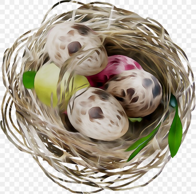Bird Basket NEST+m, PNG, 1666x1648px, Bird, Basket, Bird Nest, Gift Basket, Nest Download Free