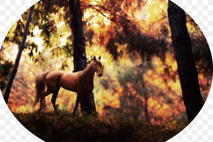 Mustang Stallion Pack Animal Freikörperkultur Sleeping Wolf, PNG, 1095x730px, 2019 Ford Mustang, Mustang, Autumn, Fauna, Ford Mustang Download Free