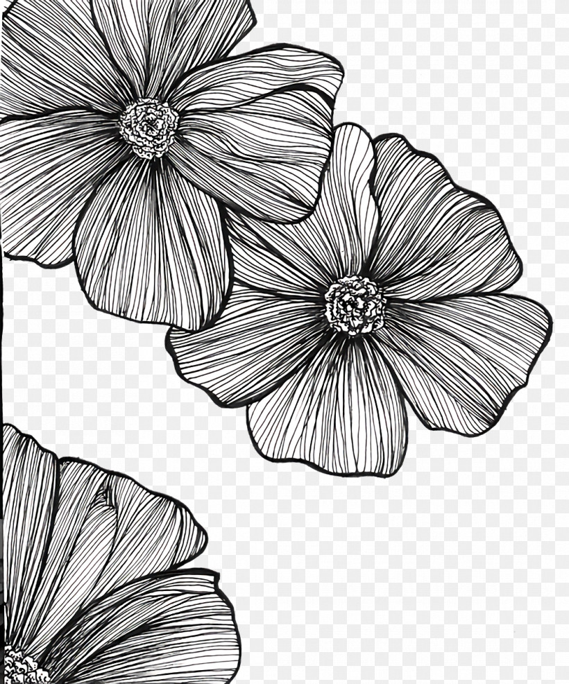 Floral Design, PNG, 1064x1280px, Black And White, Cut Flowers, Flora, Floral Design, Flower Download Free