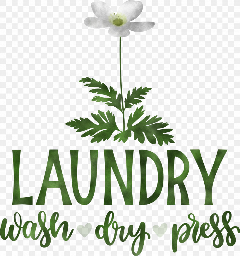 Laundry Wash Dry, PNG, 2808x3000px, Laundry, Cut Flowers, Dry, Floral Design, Flower Download Free